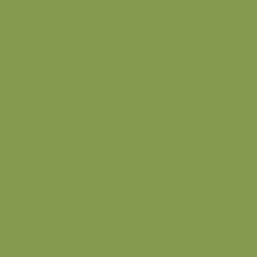 シェダニューピン Y9 500ml Pal melaminat Egger verde kiwi U626 ST9, 2800 x 2070 x 18 mm | Regency