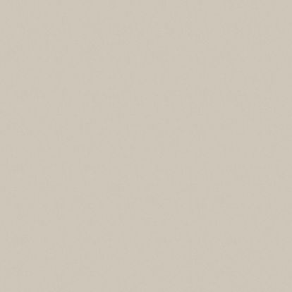 Pal melaminat Kastamonu argintiu D301 PS11, 2800 x 2070 x 18 mm