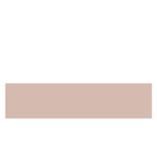 Abs Pro S cappuccino (3053 BS) 22/0.5