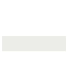 ABS ALB NETED 22/2 (KST D152/KR 110/EG W1000ST9) (PRO 804520)
