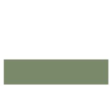 ABS VERDE MUSCHI 23/2 (EG U635) (RH 78893)