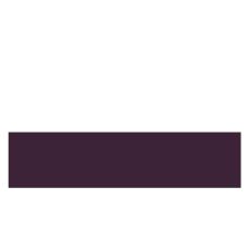 ABS LUCIOS VIOLET 22/1.3 (F.MAX 0054/MDF ORHIDEE) (PRO 804600)