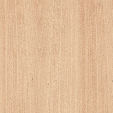 PAL furniruit fag 2800 x 2070 x 19 mm