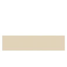 ABS Pro beige 22/0.8 (522 PE) (802110)