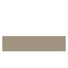 ABS safari 22/0.8 (KST D246) (PRO 842180)