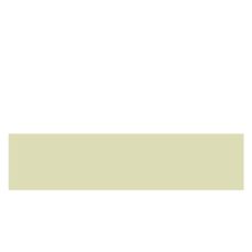 CANT ABS PRO VERDE FISTIC D304, 22/2 mm
