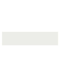 ABS ALB NETED 22/2 (KST D152/KR 110/EG W1000ST9) (PRO 804520)