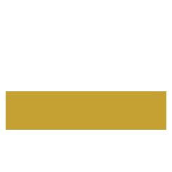 CANT ABS PRO GALBEN MUSTAR KST D273, 22/0.8 mm